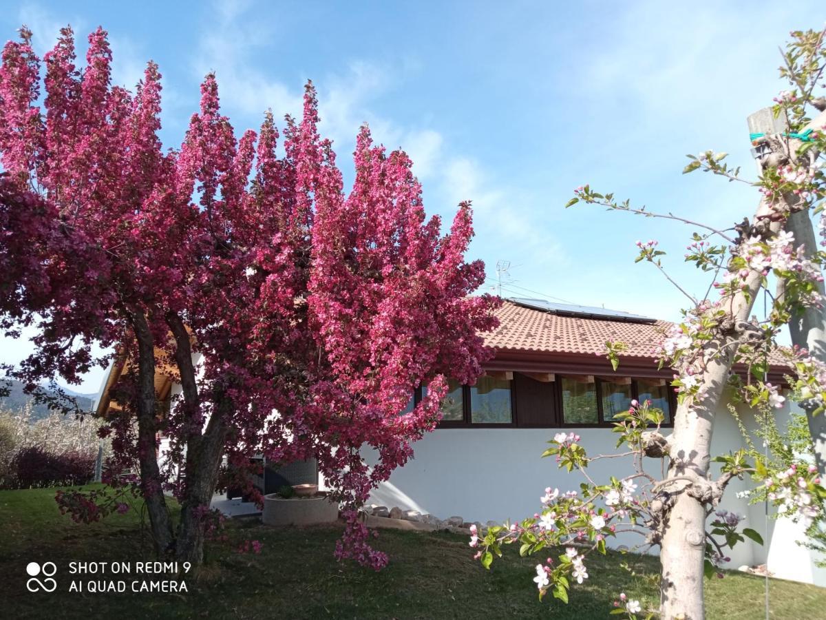 Bed and Breakfast Agritur Deromedi Cles Exterior foto