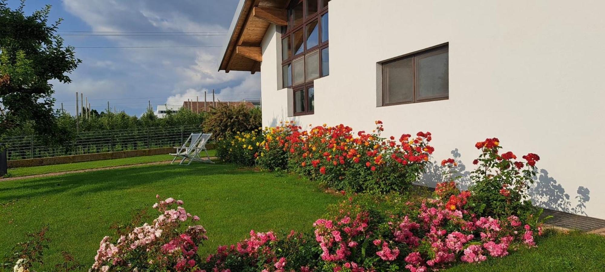 Bed and Breakfast Agritur Deromedi Cles Exterior foto